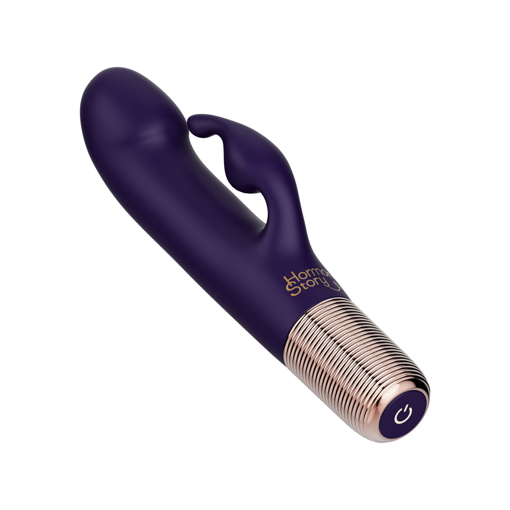 Ergonomic design 10 Vibration Gspot Rabbit Vibrator WWEWV-13